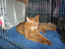 zum Vergrößern bitte anklicken