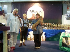 zum Vergrößern bitte anklicken