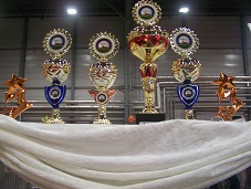 zum Vergrößern bitte anklicken