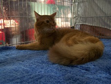 zum Vergrößern bitte anklicken