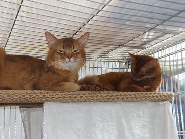 zum Vergrößern bitte anklicken