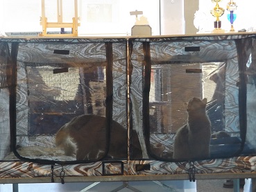 zum Vergrößern bitte anklicken