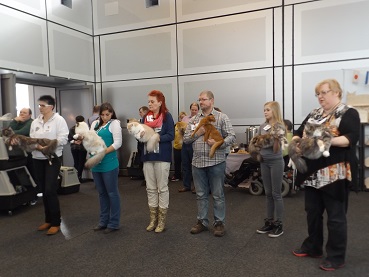 zum Vergrößern bitte anklicken