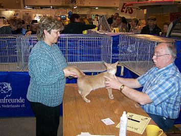Ira beim belgischen Richter