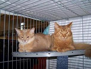 Warten auf das Richten