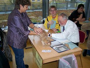 Ira beim holländischen Richter