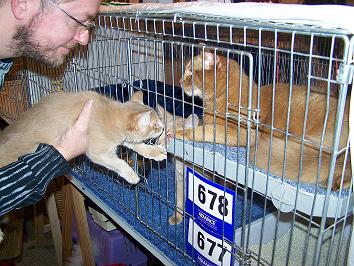 Jolina von Dashur wird vorgestellt