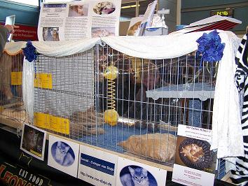 zum Vergrößern bitte anklicken