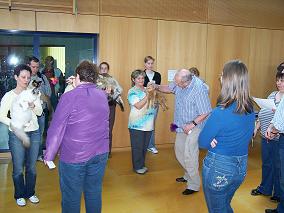 nominiert Best In Show aller Halblanghaar-Kater