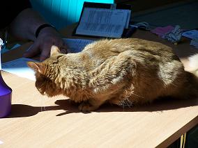 was schreibt er denn da nur?