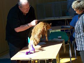 ist das Ticking in Ordnung?