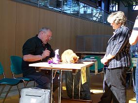 wie fällt das Urteil aus?